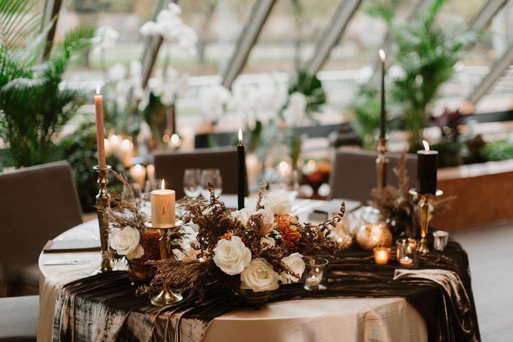 מזון ומשקאות