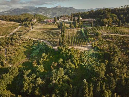 Casale Toscano a Lucca in Lucca, Italy