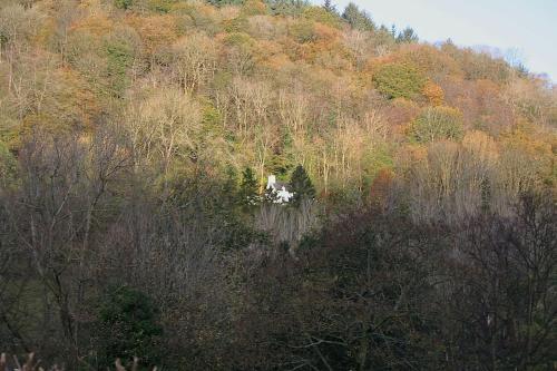 Mellow Mountain Eco Retreat Wales Hot Tub Sauna in Llangollen, United Kingdom