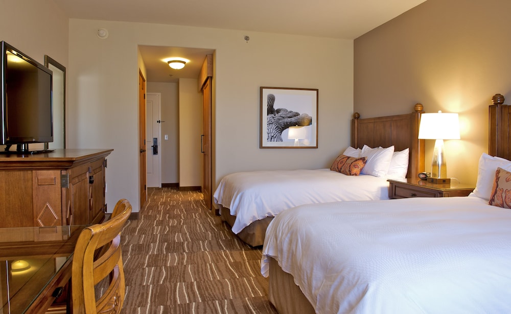 JW Marriott Starr Pass Resort and Spa - photo 23