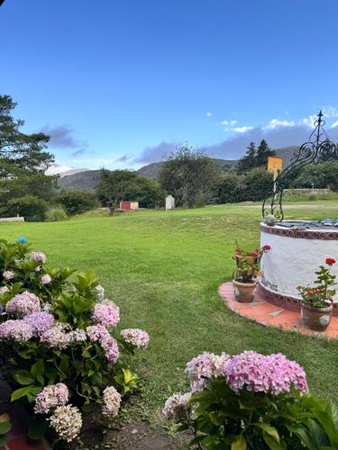 Descanso Perfecto en Tafí del Valle — Tafi Del Valle — photo 5