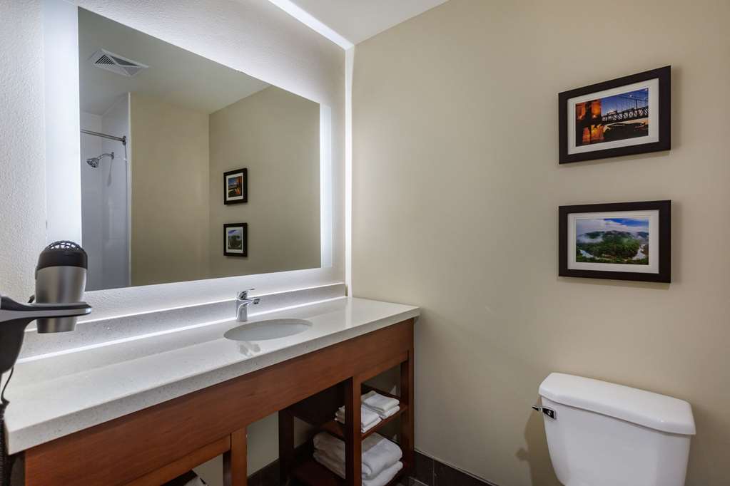Comfort Suites Bowling Green Southeast - photo 11