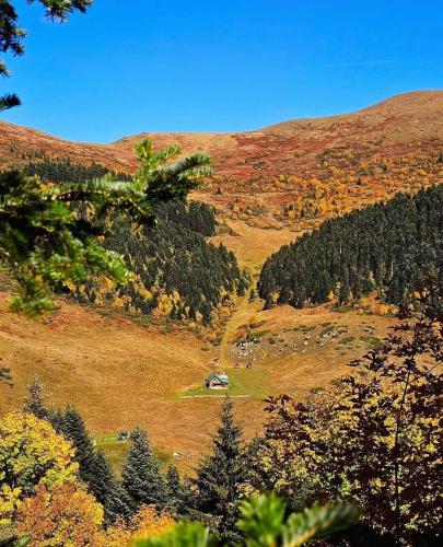 Hacijenda Bogavac Dolovi Lalevica in Kolasin, Montenegro