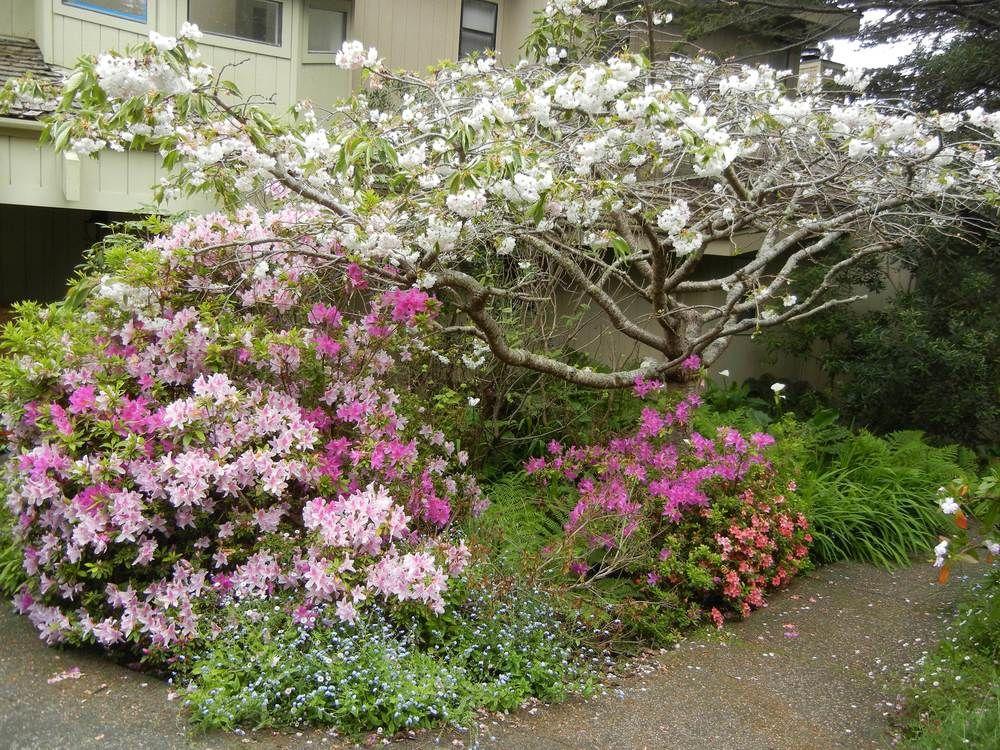 Whale Watch Inn - last minute hotel in Unknown City