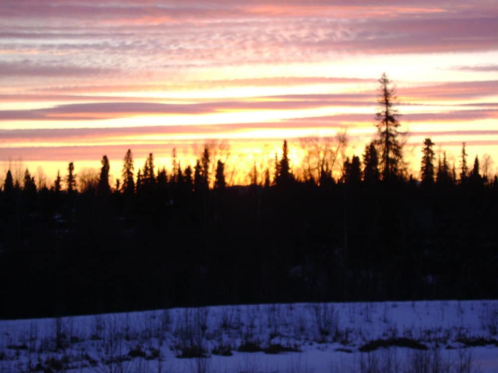 Aspen Hotel Soldotna - photo 33