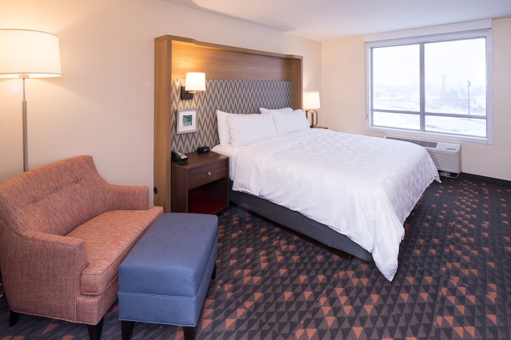 Holiday Inn & Suites Ann Arbor Univ Michigan Area by IHG - photo 7