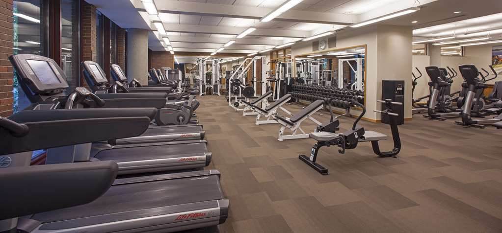 Hyatt Lodge Oak Brook Chicago - photo 8