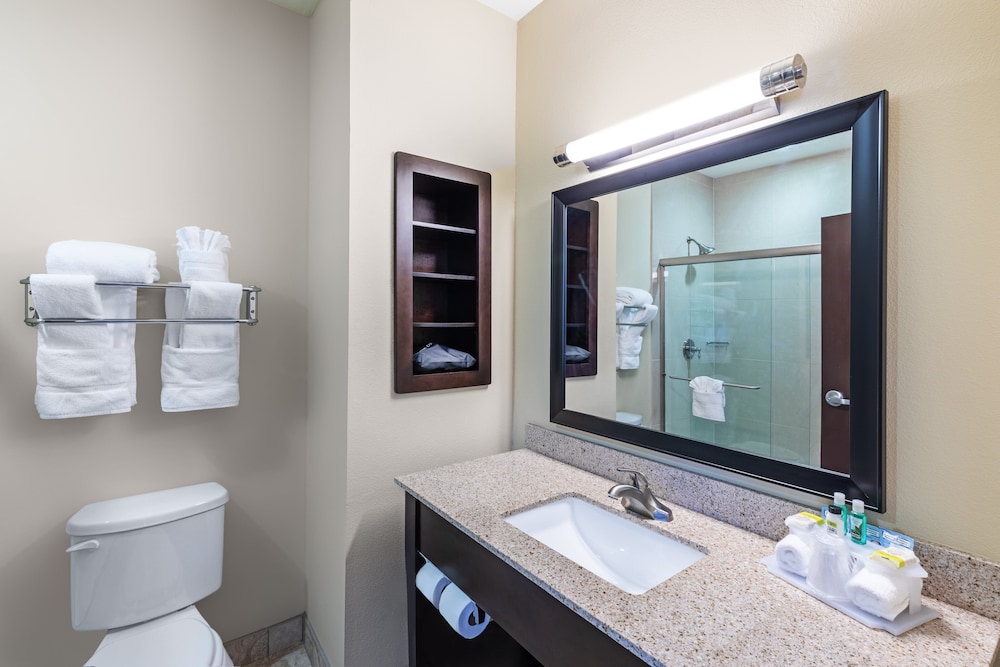 Holiday Inn Express & Suites Floresville by IHG - photo 14