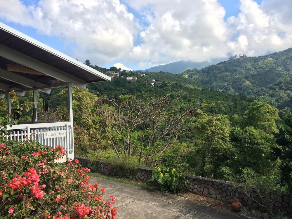 Hotel image of Neita's Nest Jamaican Bed & Breakfast