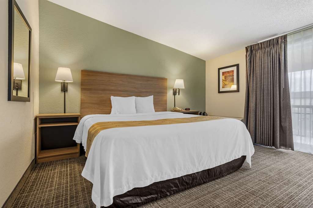 Quality Inn & Suites NRG Park Medical Center - photo 9