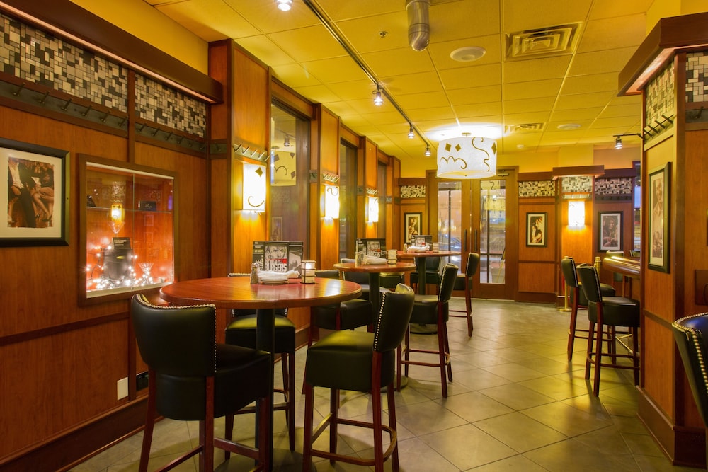 Holiday Inn Chicago O'Hare Area by IHG - photo 54