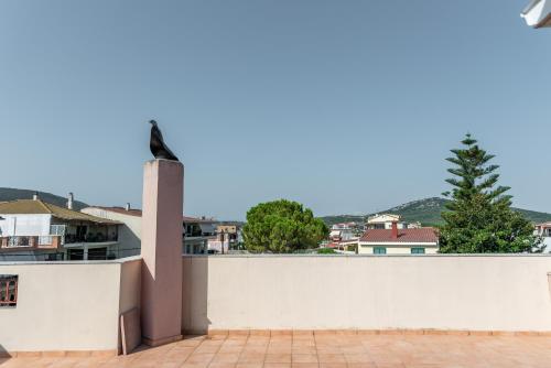 Kosta’s Apartments — Vonitsa — photo 5