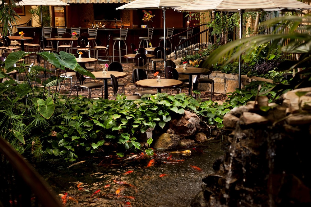 Embassy Suites Lubbock - photo 5