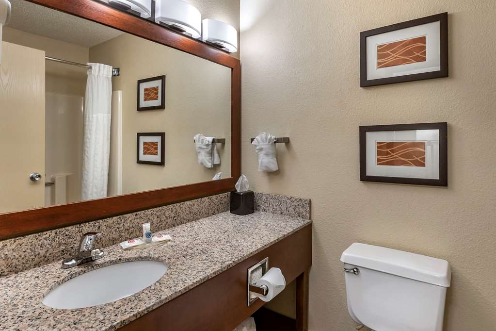Comfort Inn Moline Quad Cities - photo 17