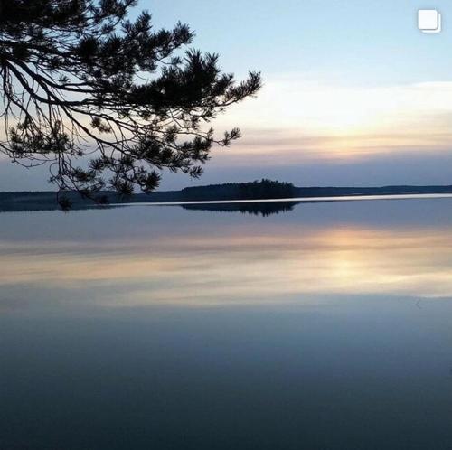 Ecohotel Les in Vyborg, Russia