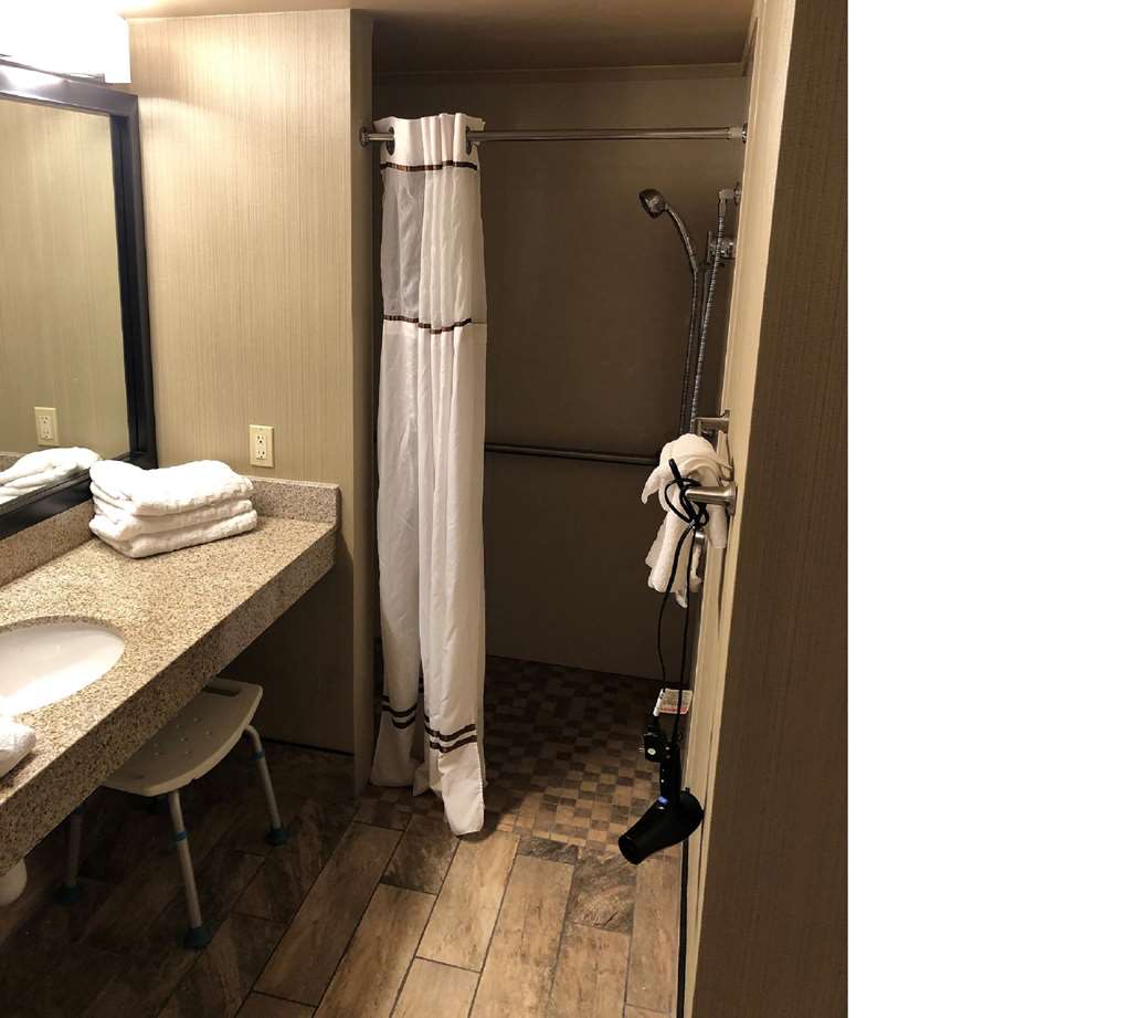Best Western Ramkota Hotel - photo 24