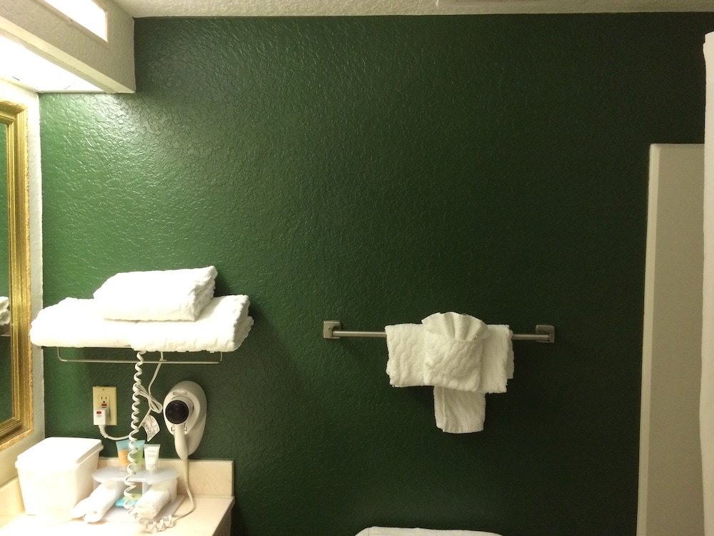 Ruskin Inn Hotel - photo 34