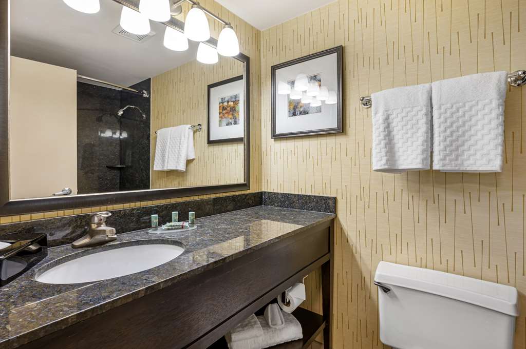 Best Western Chicago Downers Grove - photo 37