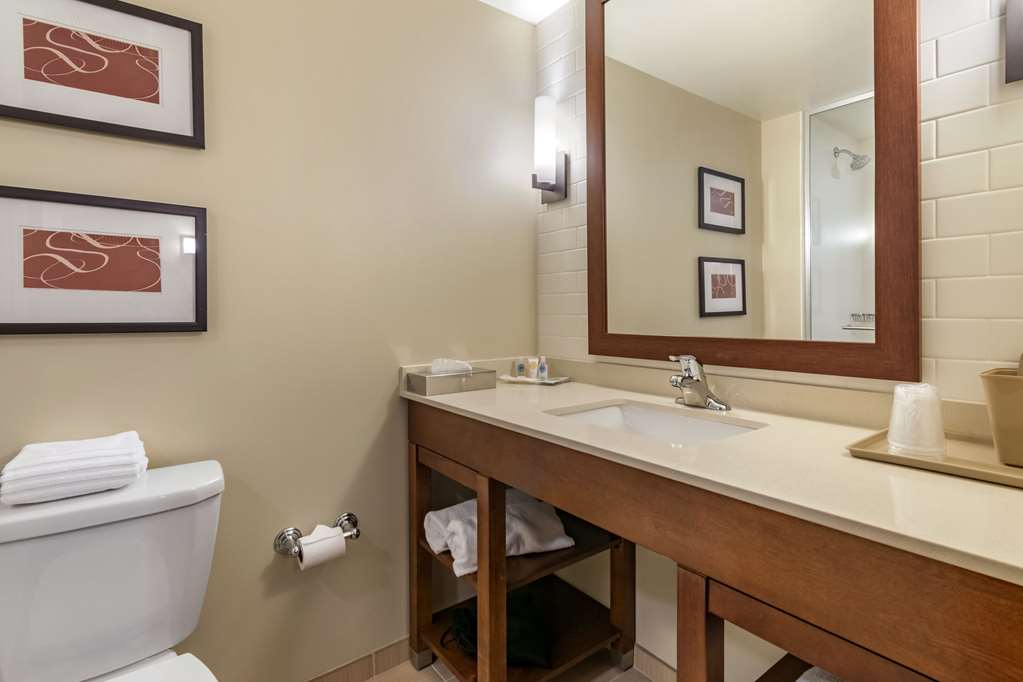 Comfort Suites Manheim Lancaster - photo 8