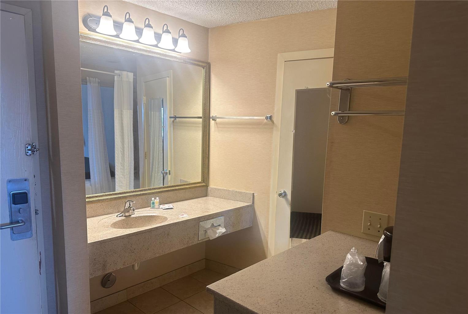 Wingate by Wyndham Livonia - photo 4