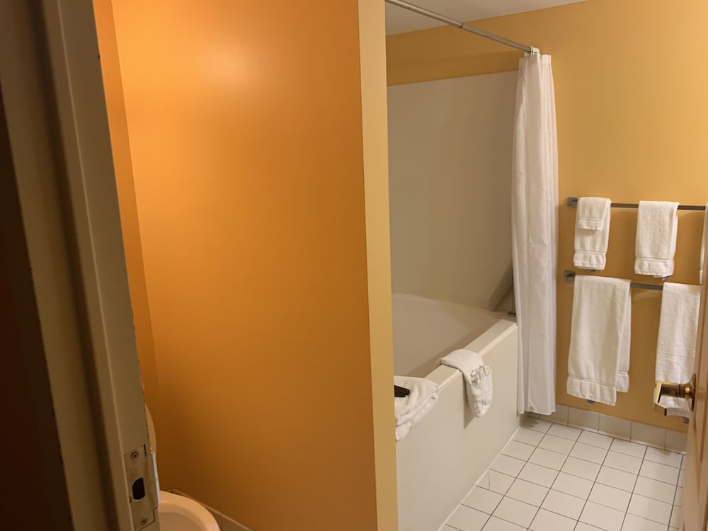 French Quarter Inn - photo 29