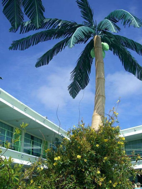 Caribbean Motel - photo 29