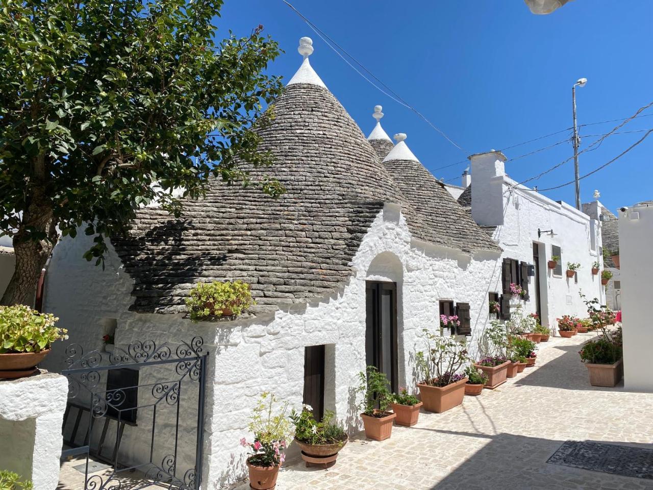 Trullo Vicolo Fiorito in Alberobello, Italy
