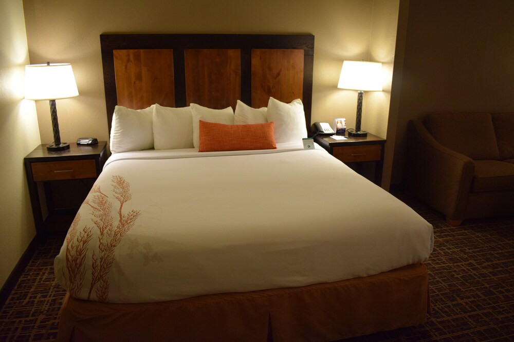 Best Western Wichita North Hotel and Suites - photo 10