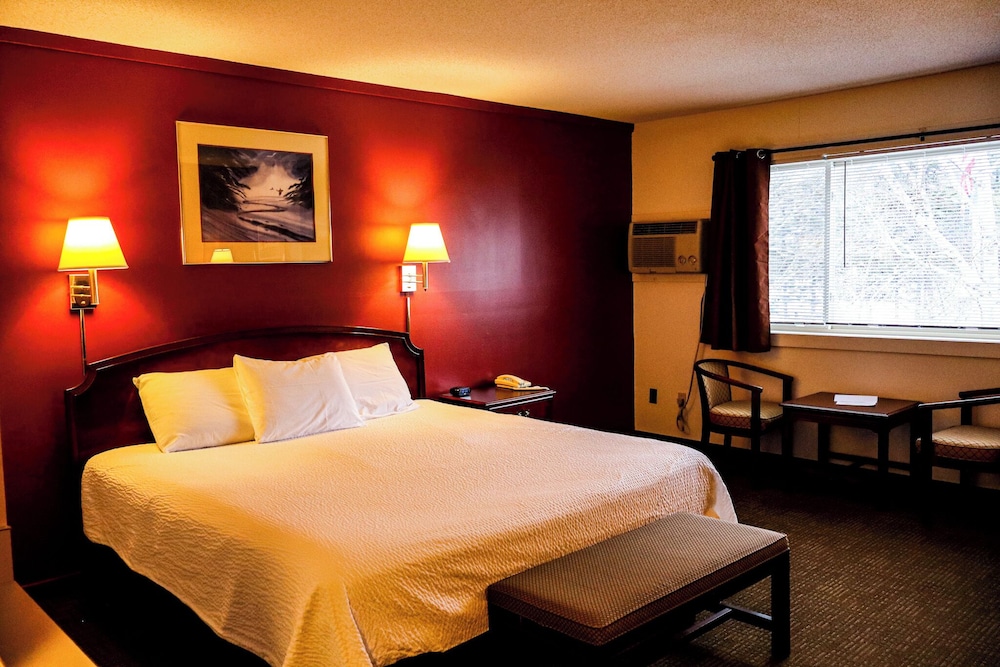 Snowy Owl Inn And Resort - photo 11