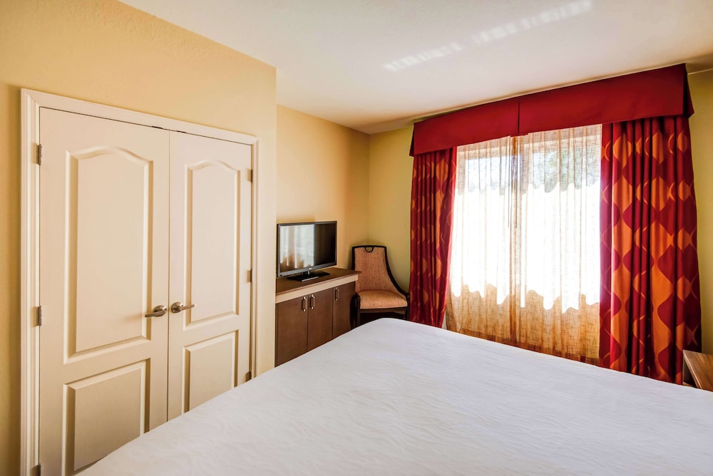 Hilton Garden Inn Tampa Ybor Historic District - photo 13