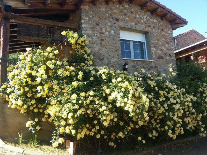 El Rincón De La Rosa 1 — La Robla — photo 2
