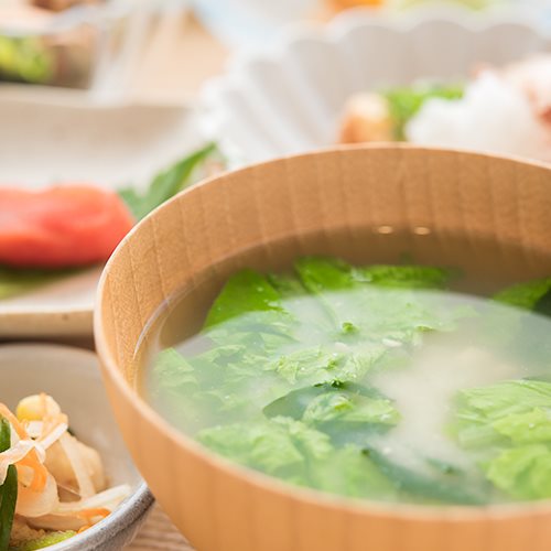 Myoken Onsen Nemu in Kirishima, Japan