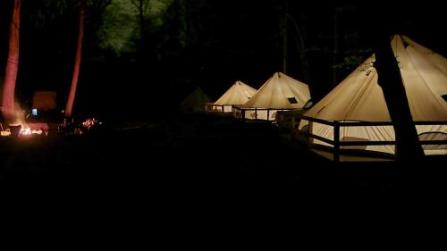 Harmony Tree Resorts - photo 5
