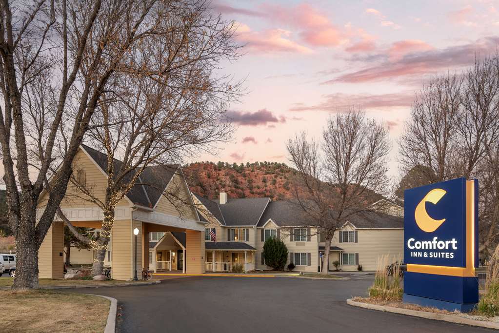 Comfort Inn & Suites Carbondale on the Roaring Fork - photo 5