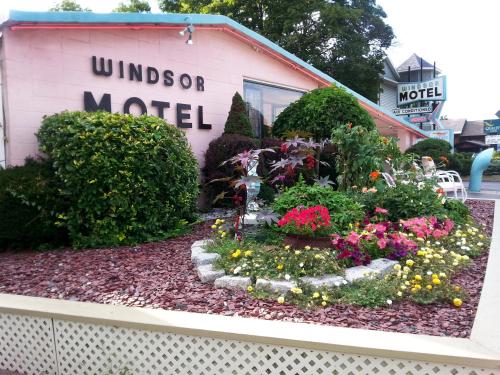 Windsor Motel - photo 8