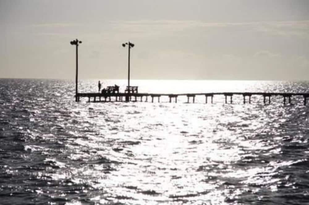 The Peaceful Pelican - photo 24