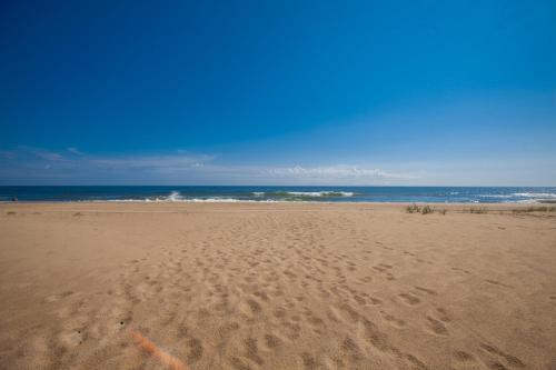 Seaside Serenade - photo 4