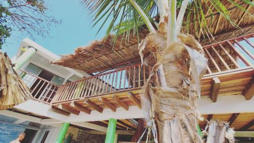 Eco Hotel Lili in Unknown City, Colombia