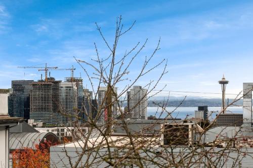 Perch Metro Malden — Seattle — photo 4