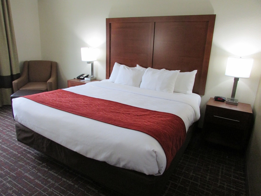 Comfort Inn Wichita Falls Near University - photo 4