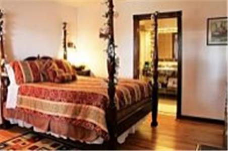 The Inn At Paradise - photo 11