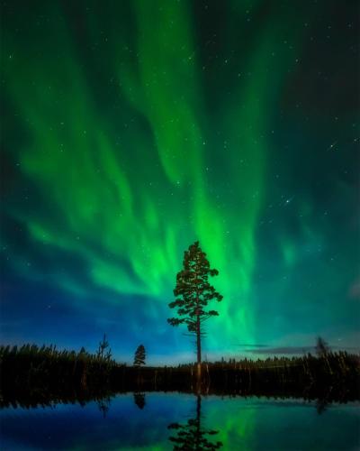 Holmens Boende och Event — Lulea — photo 5