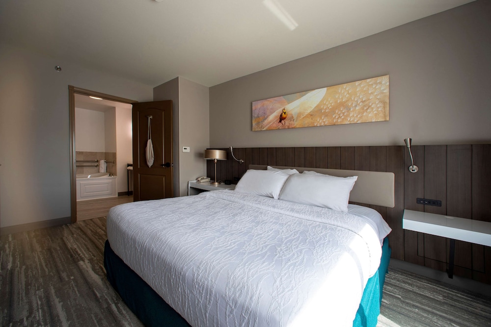 Hilton Garden Inn Rapid City - photo 43