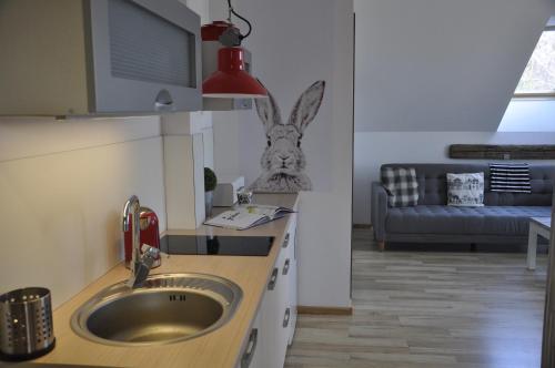 Apartament w kratkę — Wierzchucino — photo 5