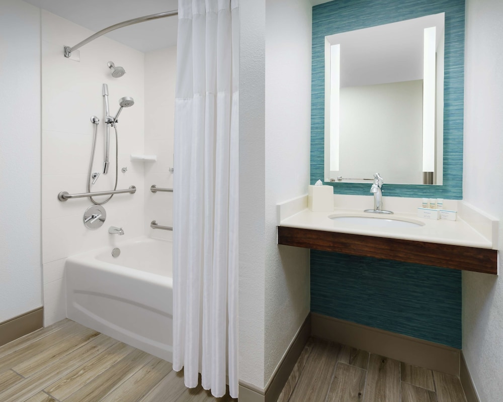 Hilton Garden Inn Orlando at SeaWorld - photo 18
