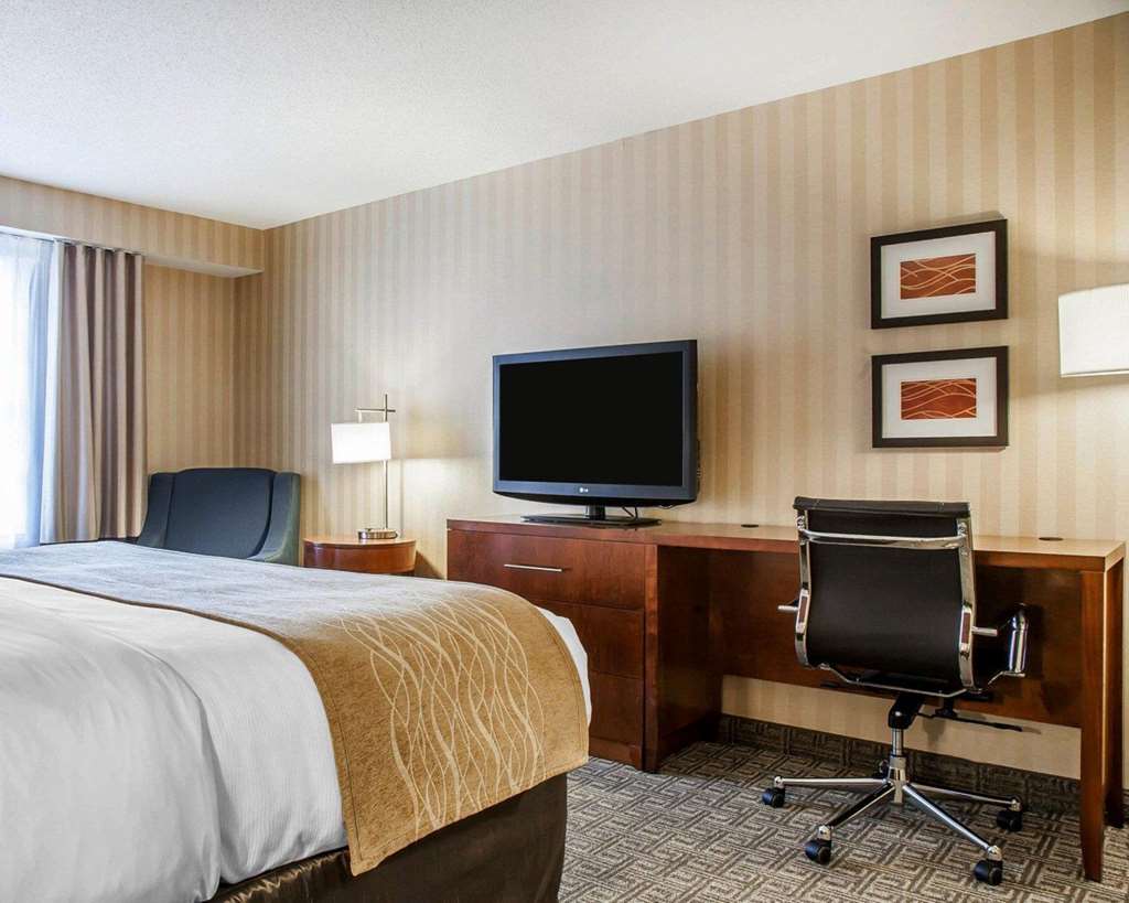 Comfort Inn & Suites Sturbridge Brimfield - photo 9