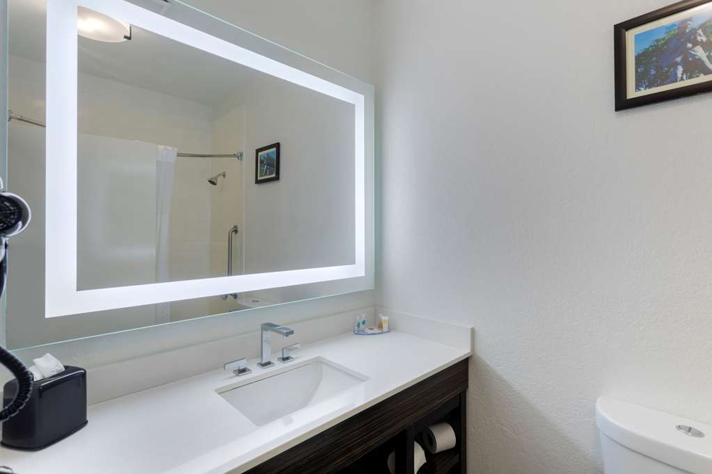 Comfort Inn & Suites Memphis East - photo 25