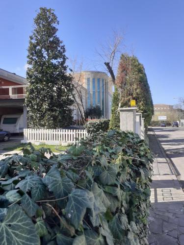 Gold House — Maranello — photo 5