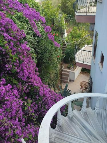 Villa on the Historic Castle Hill — 4-Star Luxury Hotel in Alanya, Turkey