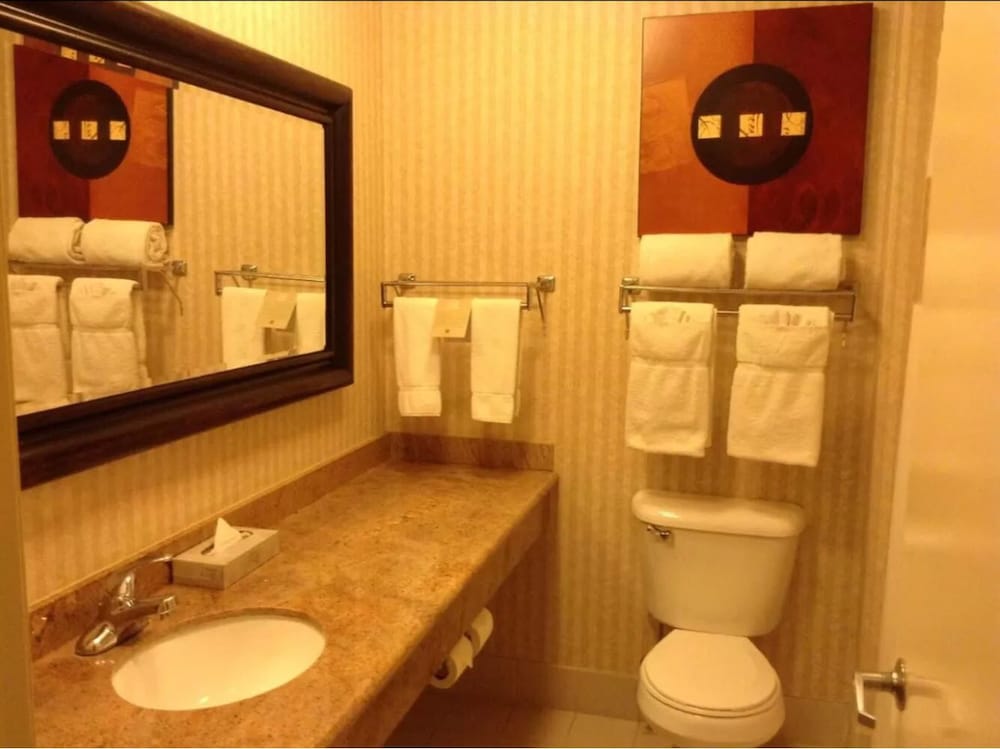 Borrego Springs Resort & Spa - photo 10